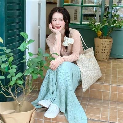 史明·革命进行式 海报